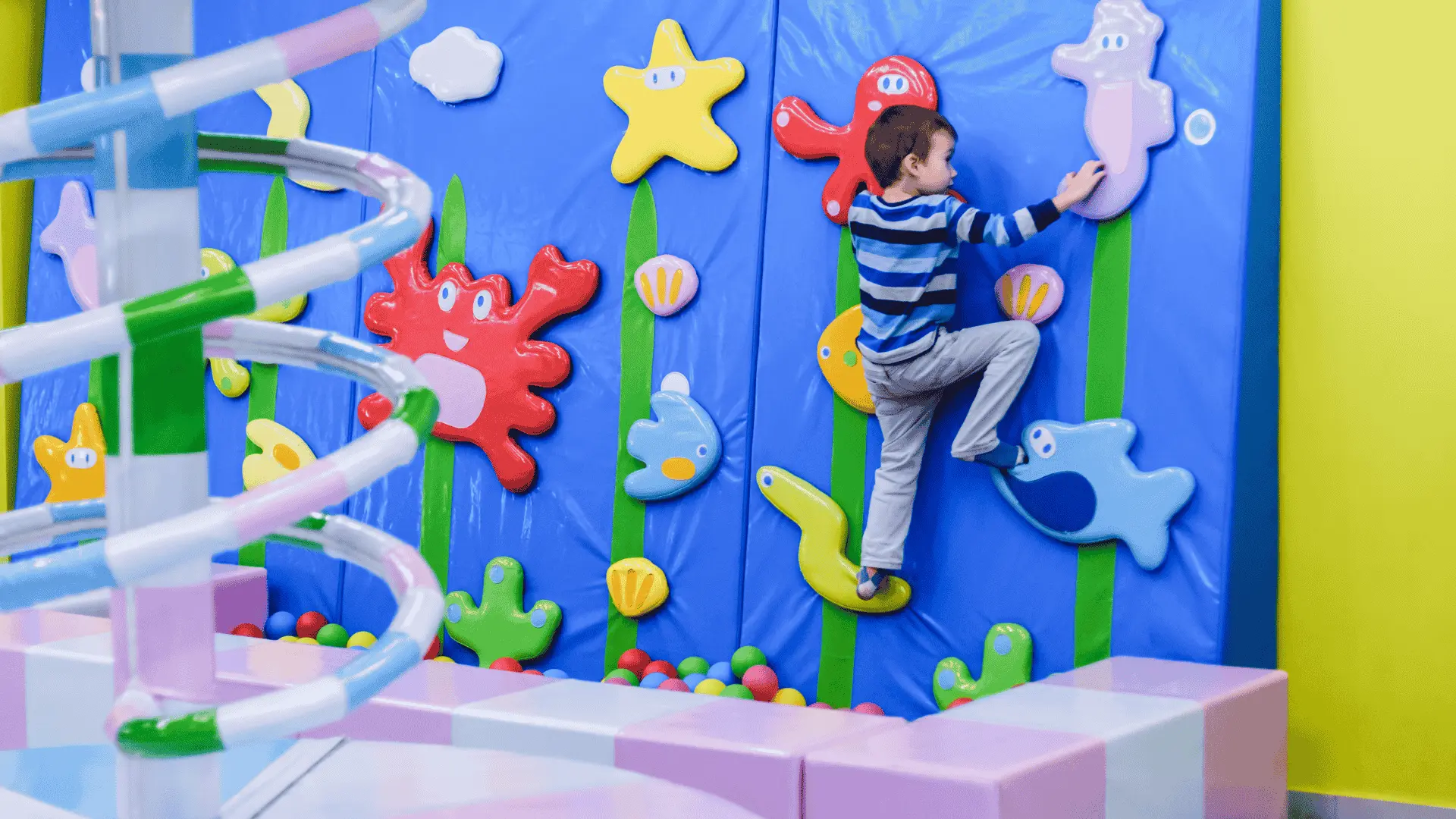 Kids Climbing Wall